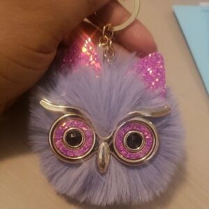 Purple Owl Key Holder